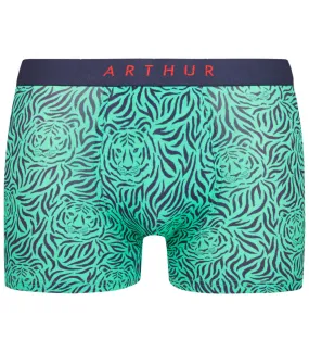 Boxer Arthur vert