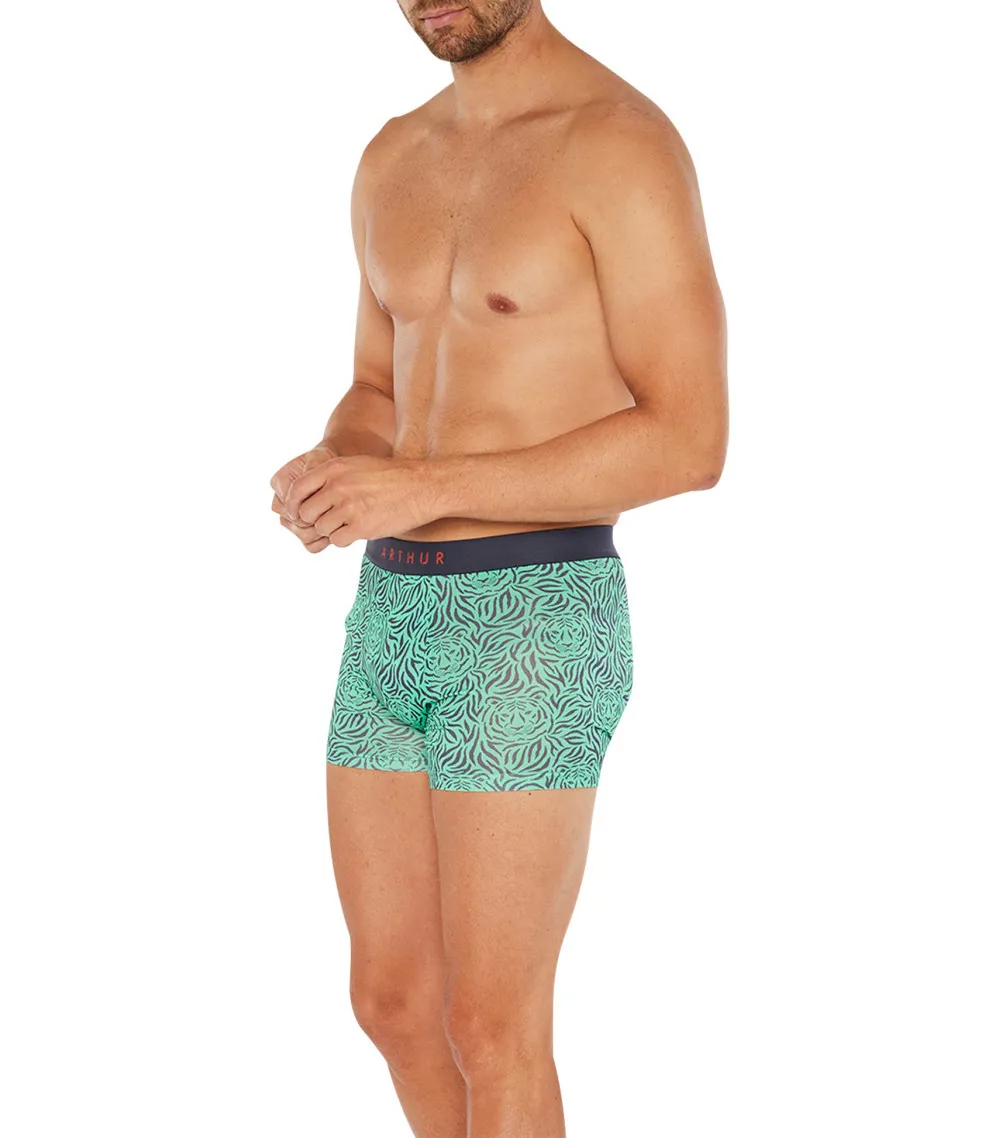 Boxer Arthur vert