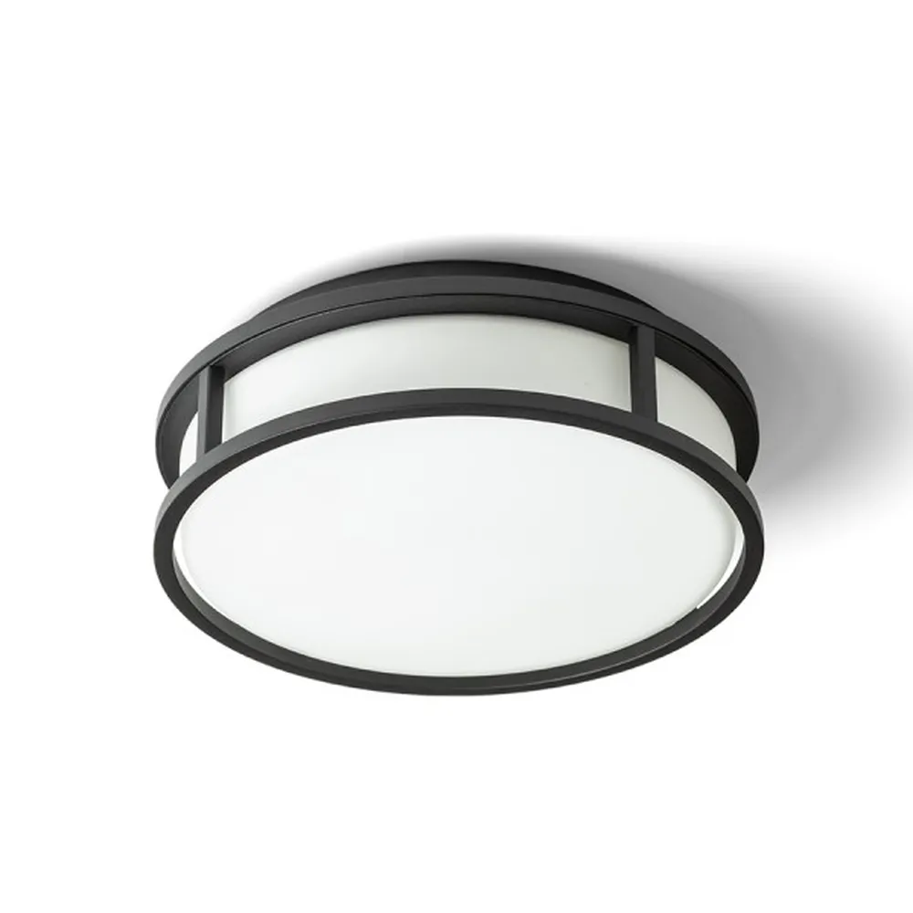 RENDL R13677 Plafonnier salle de bain et verre opale coloré GRANDE LED 25